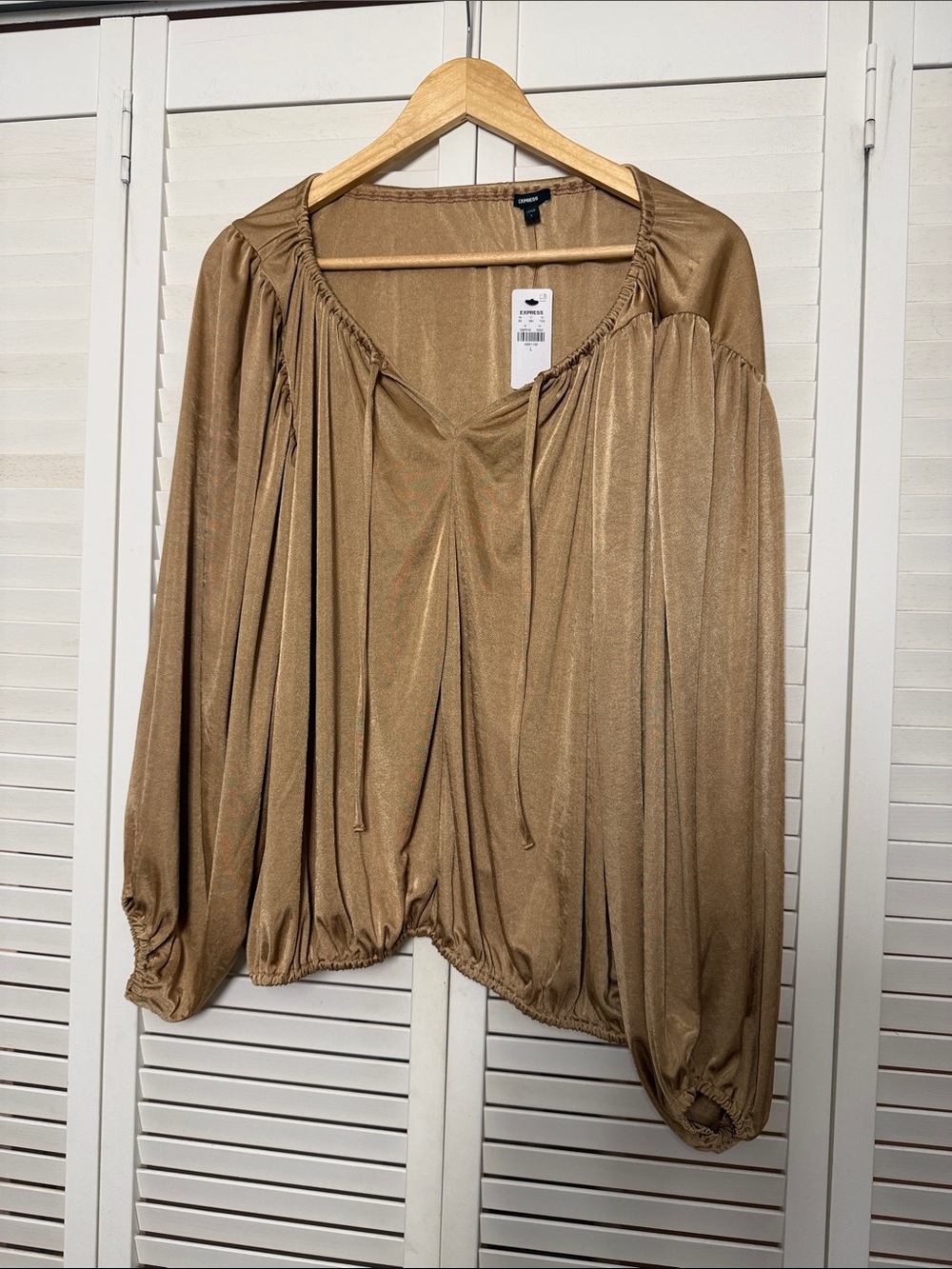 Express Metallic Tan Balloon Sleeve Blouse